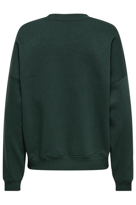 Jacqueline de Yong groene dames sweater | Achteraanzicht