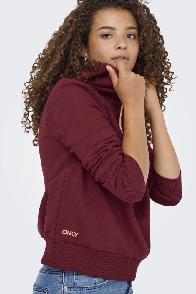 Only bordeaux dames sweater | Model zijaanzicht
