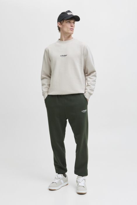 Jack & Jones beige heren sweater | Model