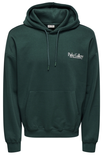 Only & Sons Trui ONSGALLERY VTG HOODIE 22035621 PINE GROVE/GALLERY