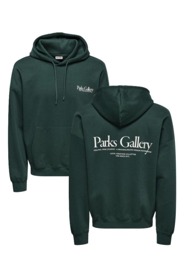 Only & Sons ONSGALLERY VTG HOODIE 22035621 PINE GROVE/GALLERY