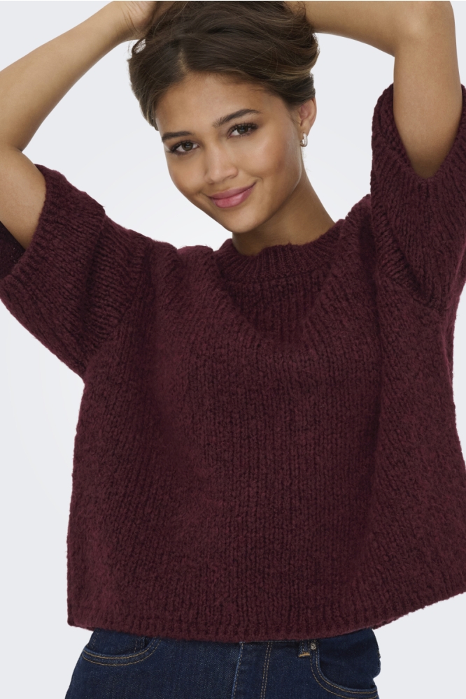 Jacqueline de Yong bordeaux dames trui | Model
