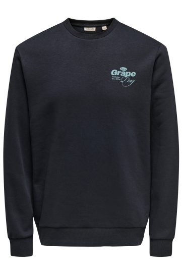 Only & Sons Trui ONSALFRESCO REG CREW NECK 22035625 Black/GRAPE