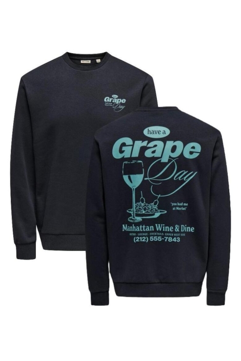 Only & Sons zwarte heren sweater | Vooraanzicht