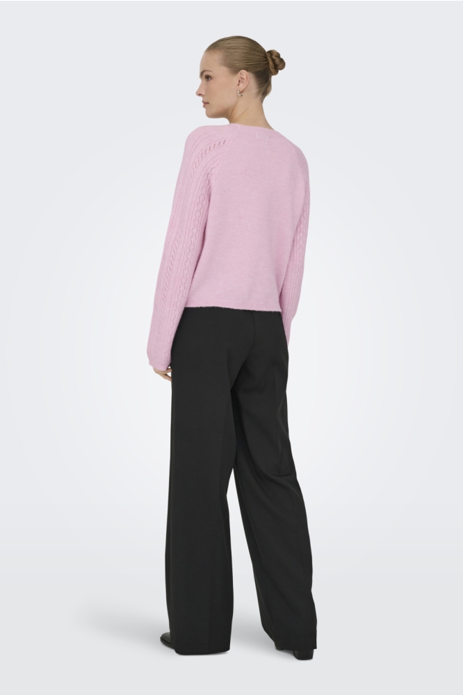 Jacqueline de Yong roze dames trui | Model