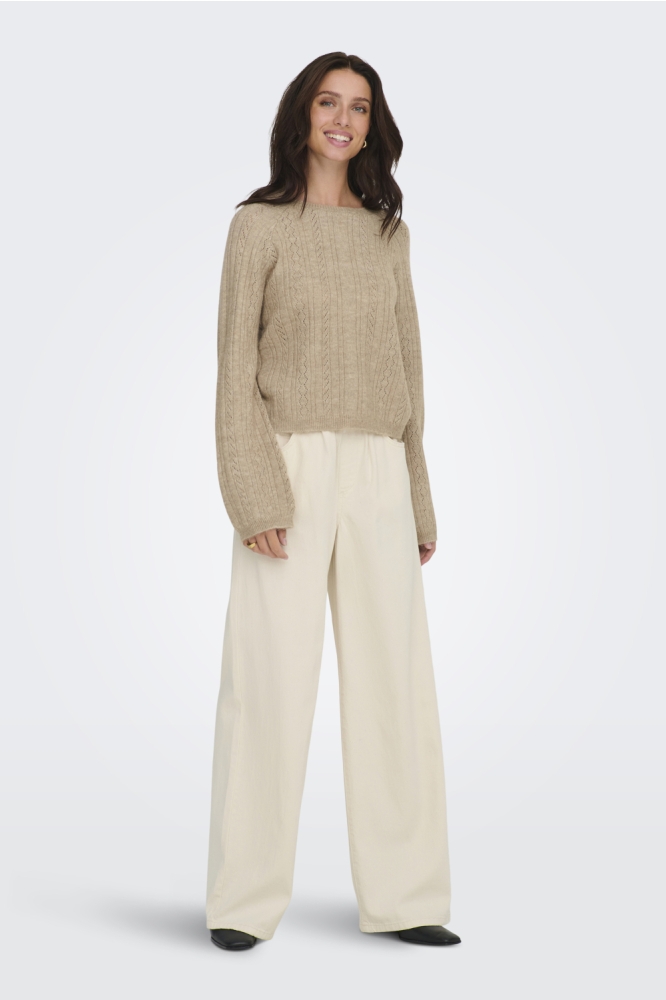 Jacqueline de Yong zand dames trui | Model