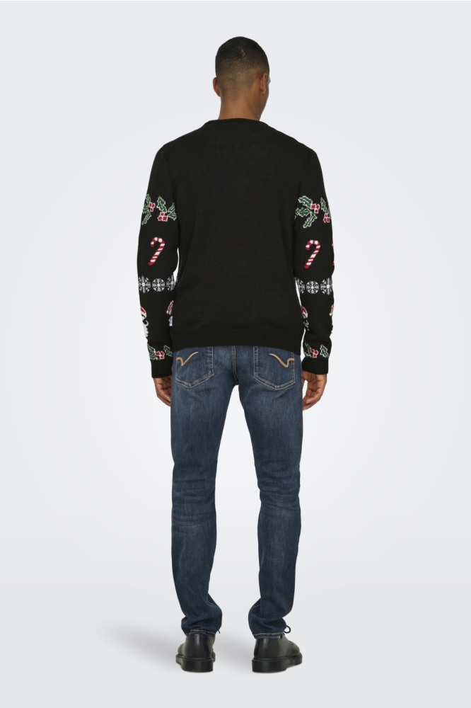 Only & Sons zwarte heren trui | Model