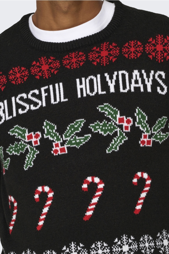 Only & Sons zwarte heren trui | Close up