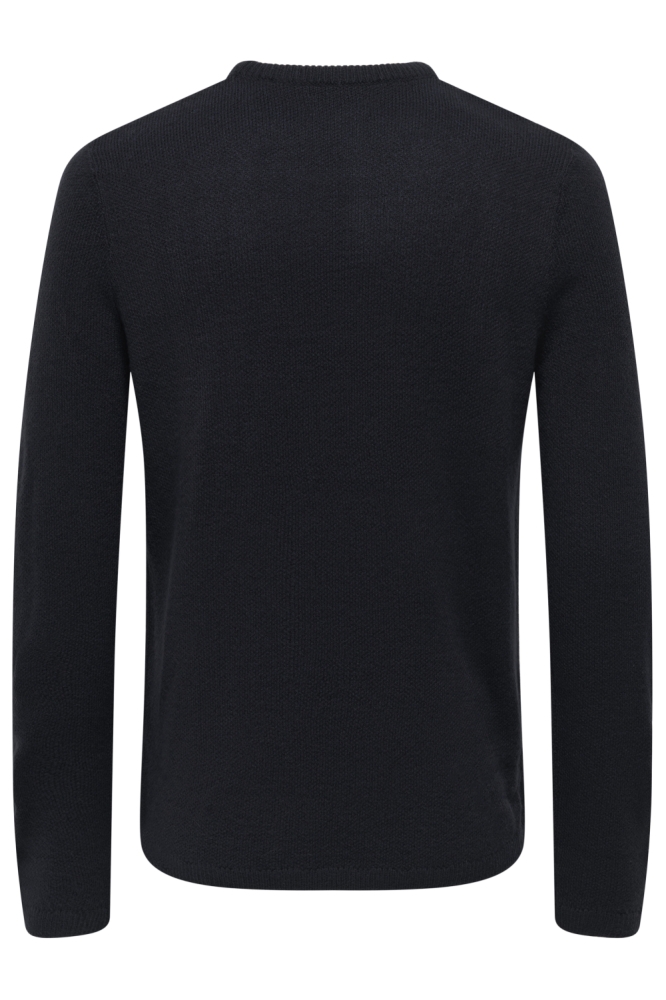 Only & Sons blauwe heren trui | Achteraanzicht