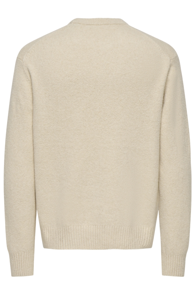 Only & Sons ecru heren trui | Achteraanzicht