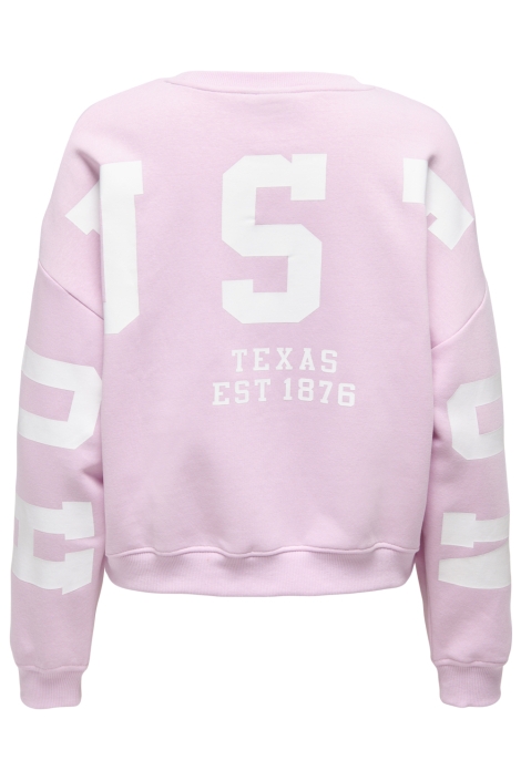 Only roze dames sweater | Achteraanzicht