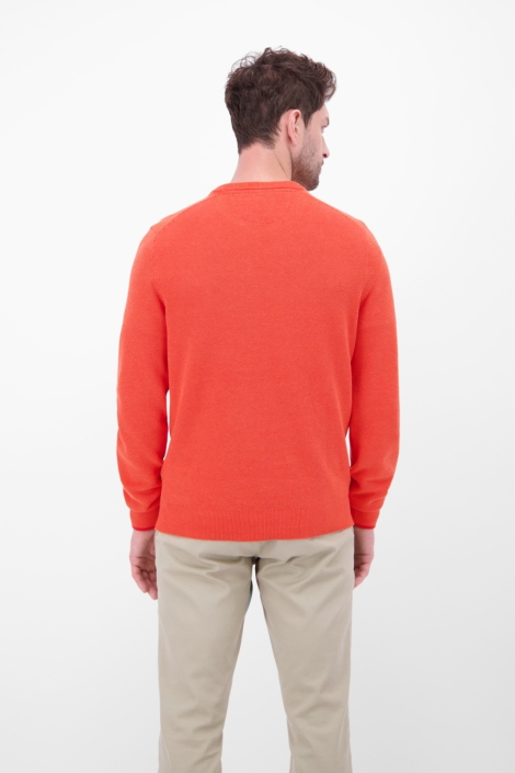 Lerros oranje heren trui | Model achteraanzicht