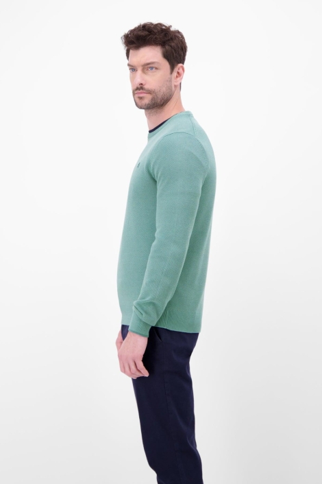 Lerros groene heren trui | Model zijaanzicht