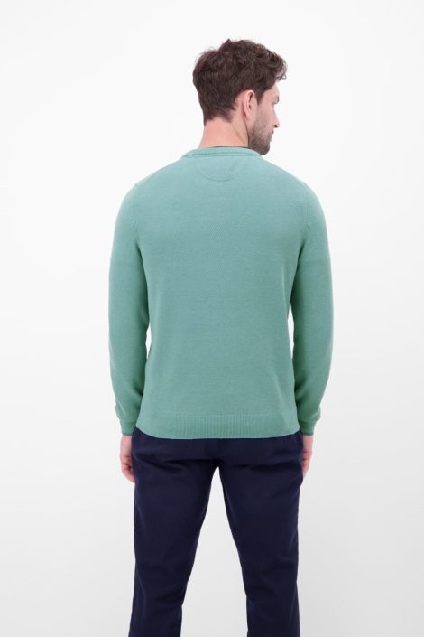 Lerros groene heren trui | Model achteraanzicht