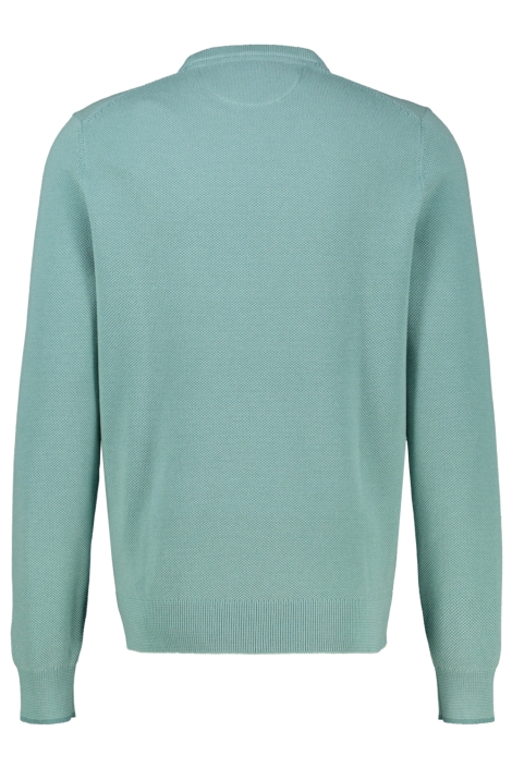 Lerros groene heren trui | Achteraanzicht