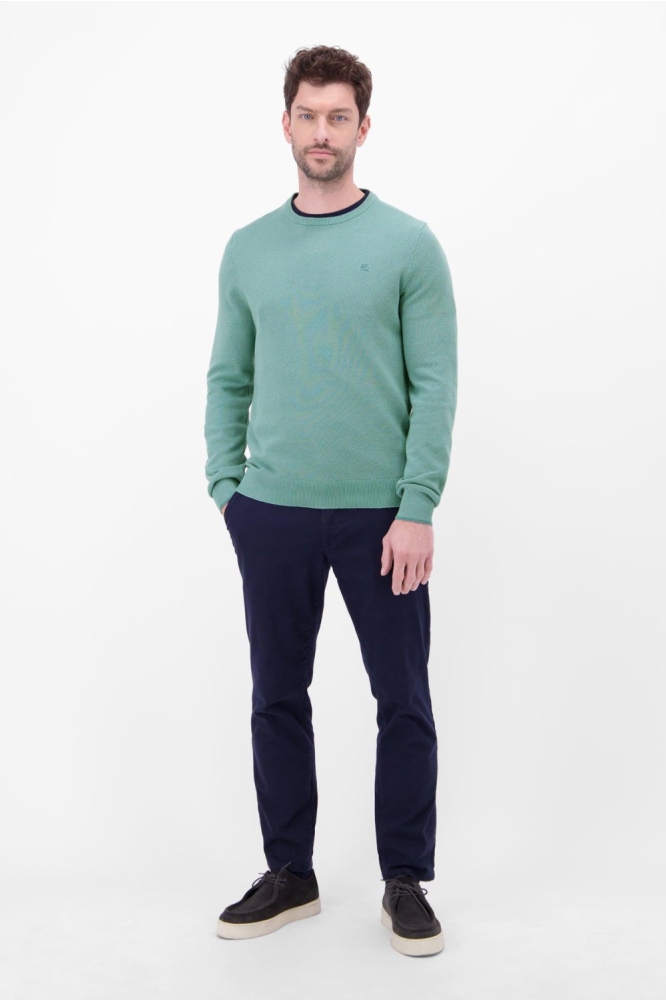 Lerros groene heren trui | Model