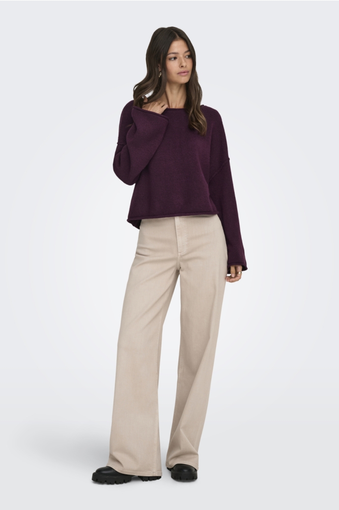 Jacqueline de Yong bordeaux dames trui | Model