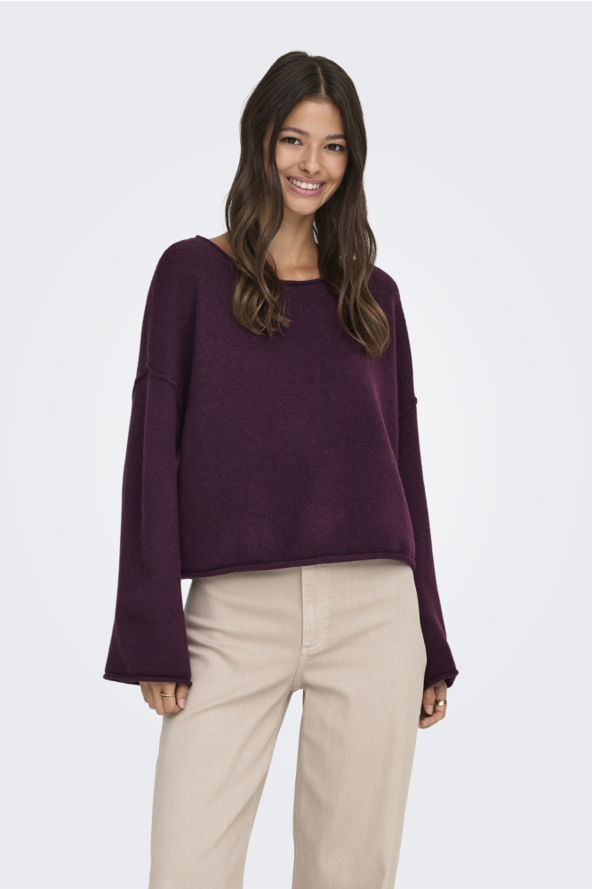 Jacqueline de Yong bordeaux dames trui | Model vooraanzicht