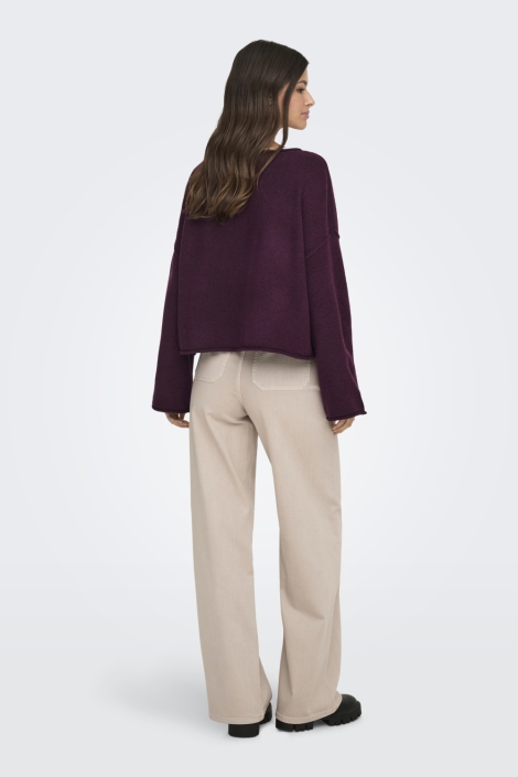 Jacqueline de Yong bordeaux dames trui | Model