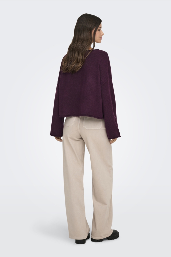 Jacqueline de Yong bordeaux dames trui | Model