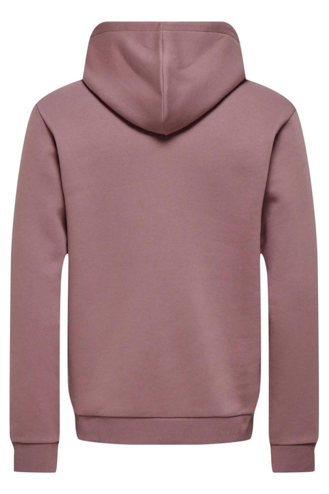 Only & Sons roze heren sweater | Achteraanzicht