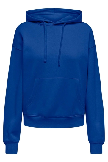 Only ONLBEST L/S HOOD SWT NOOS 15338730 Surf the Web