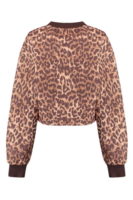 Harper & Yve camel dames sweater | Achteraanzicht