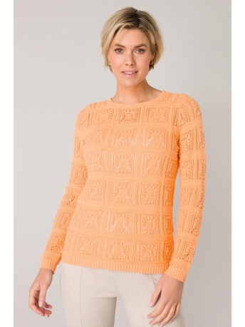 Ivy Beau Trui TJITSKE 4000835 5001 SALMON