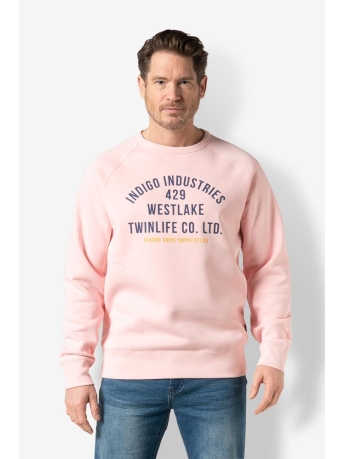 Twinlife Trui MEN SWEAT RAGLAN PRINT TW32301 405 TICKLED PINK