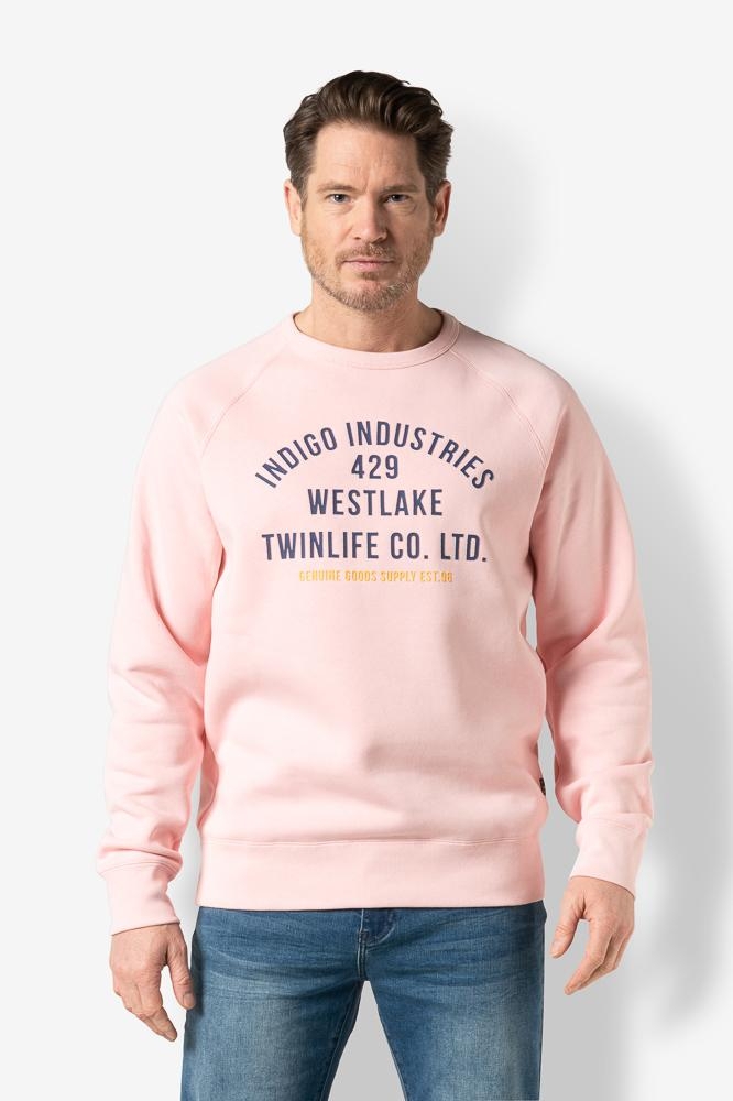 MEN SWEAT RAGLAN PRINT TW32301 405 TICKLED PINK