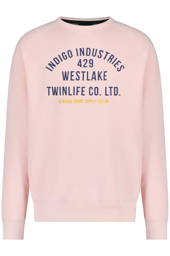 MEN SWEAT RAGLAN PRINT TW32301 405 TICKLED PINK