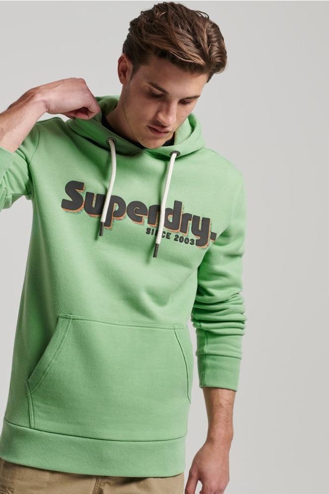 converteerbaar gesloten Plasticiteit terrain logo classic hoodie m2013139a superdry sweater soft green converteerbaar gesloten Plasticiteit terrain logo classic hoodie m2013139a superdry sweater soft green