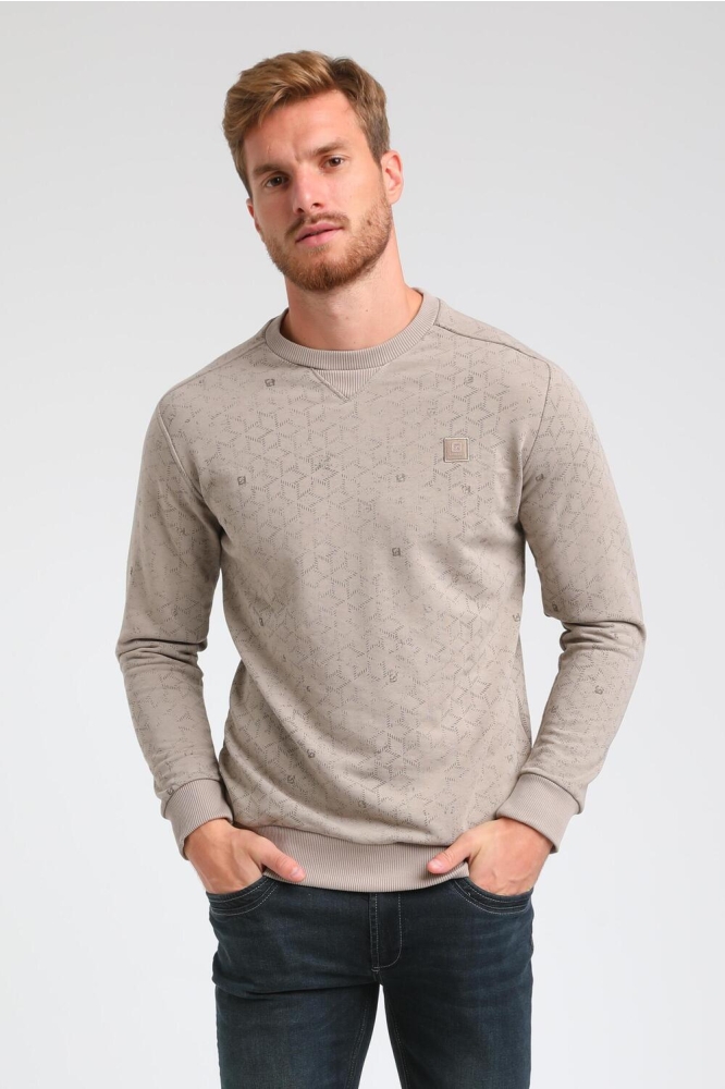 SWEATER MET TONALE PRINT 773782 1101 soft taupe