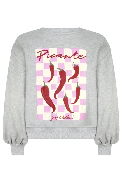 Ydence grijze dames sweater | Achteraanzicht