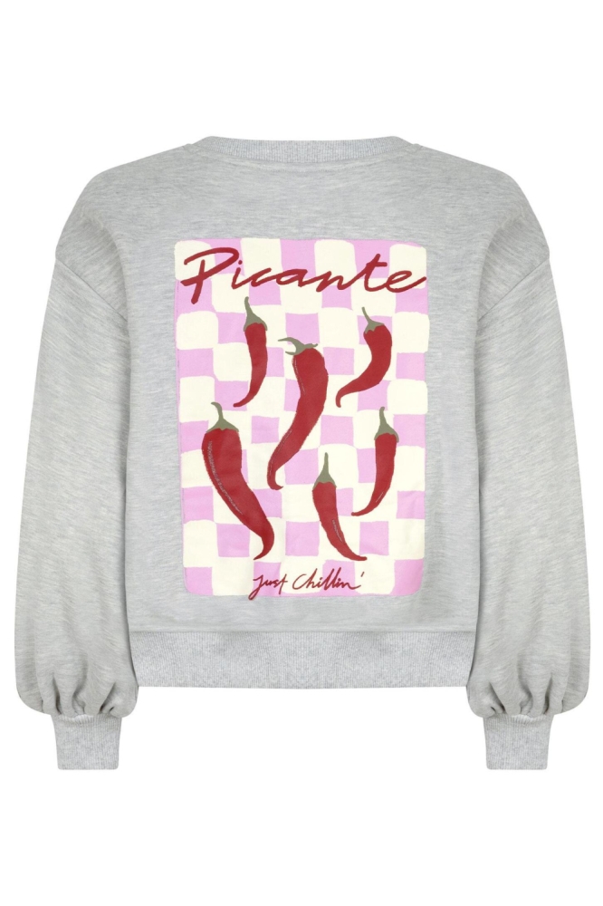Ydence grijze dames sweater | Achteraanzicht