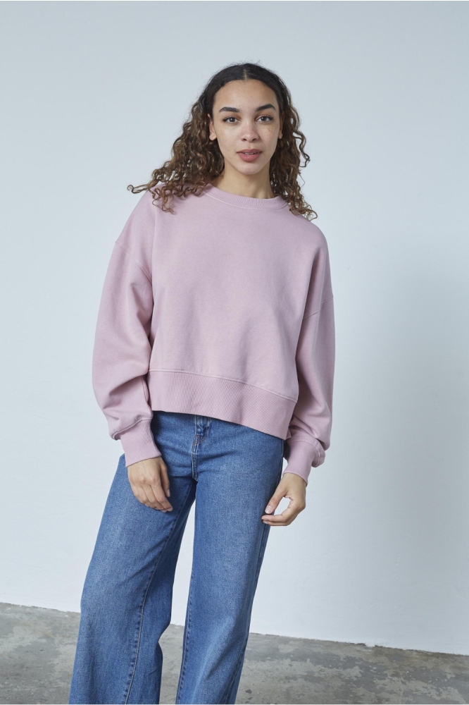 SisterS point roze dames sweater | Model vooraanzicht