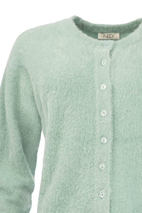 NED groene dames vest | Close up