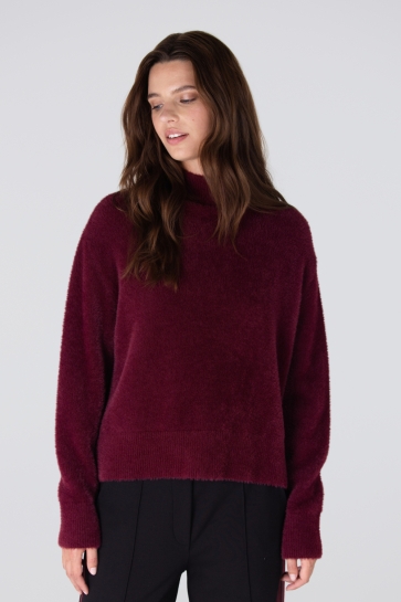 Juffrouw Jansen CALLA W25 TRUI P155 TURTLE NECK 000323 DARK RED