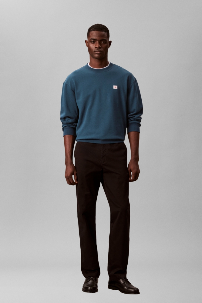 Calvin Klein blauwe heren sweater | Model