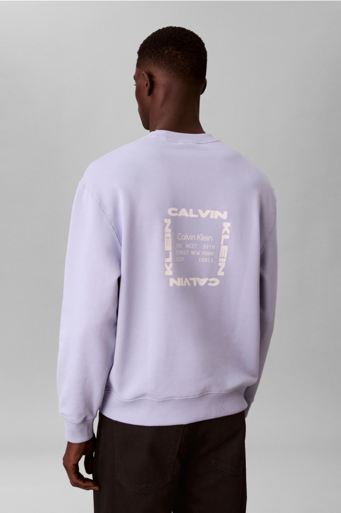 Calvin Klein blauwe heren sweater | Model achteraanzicht