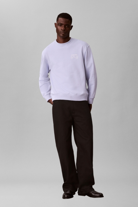 Calvin Klein blauwe heren sweater | Model