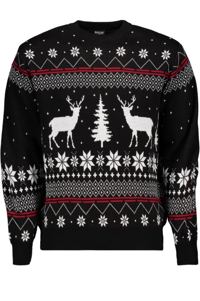 Ballin zwarte heren trui | Vooraanzicht