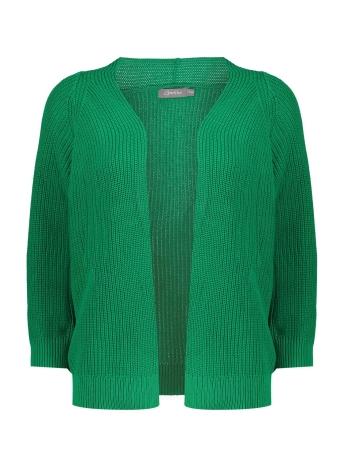 Geisha Vest GEBREID BASIC VEST 34000 10 Green