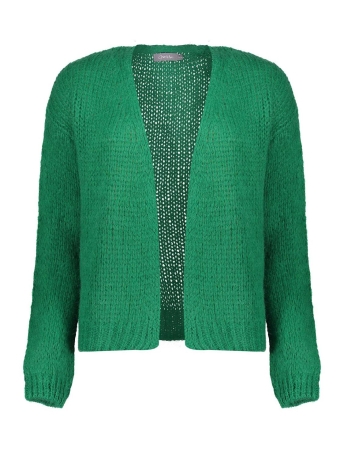 Geisha Vest GEBREID BASIC VEST 34577 70 EVERGREEN