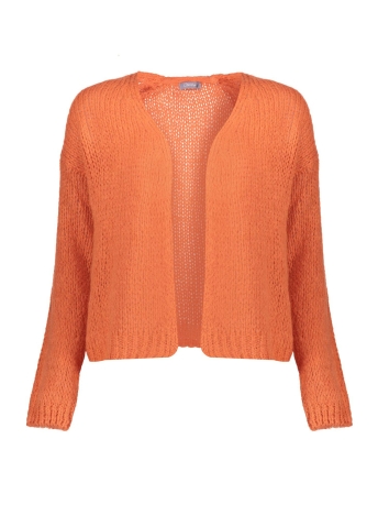 Geisha Vest GEBREID BASIC VEST 34577 70 Burned Orange
