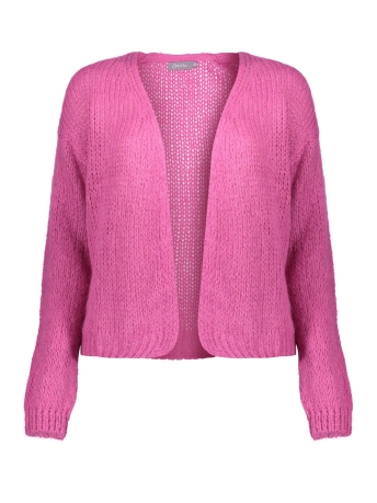 Geisha Vest GEBREID BASIC VEST 34577 70 Pink