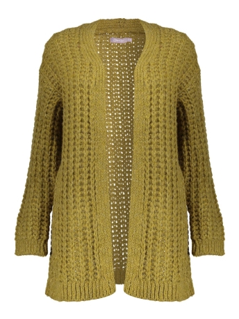 Geisha Vest GROF GEBREID VEST 34570 70 Cactus