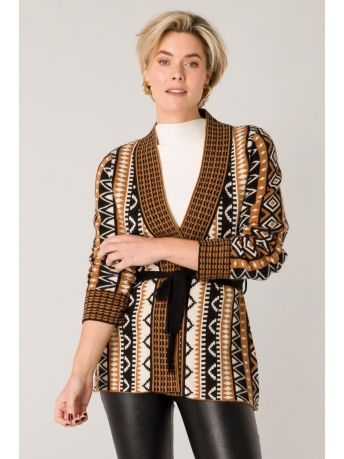 Ivy Beau Vest SONNY 4001206 BRONZE BROWN MULTI