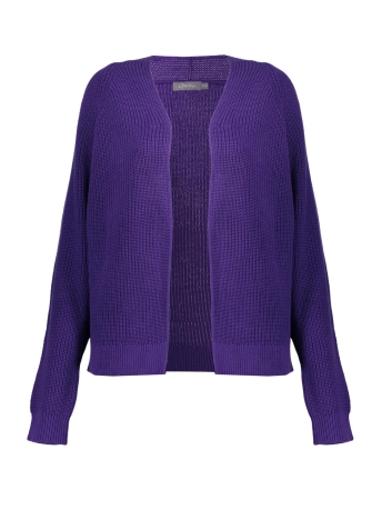 Geisha Vest GEBREID BASIC VEST 34512 10 DARK PURPLE