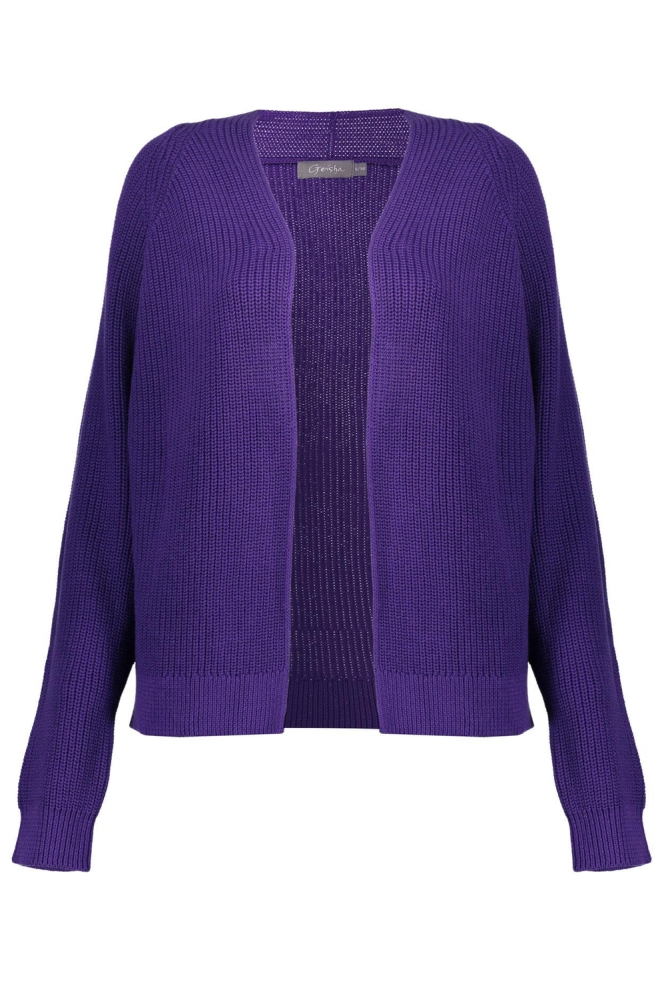 GEBREID BASIC VEST 34512 10 DARK PURPLE